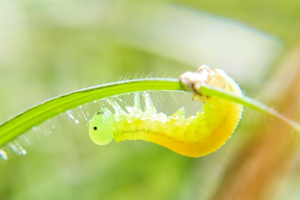 Photograph by Александр Карасев