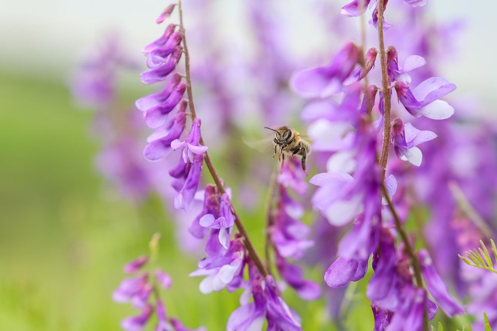 Photograph by Александр Карасев