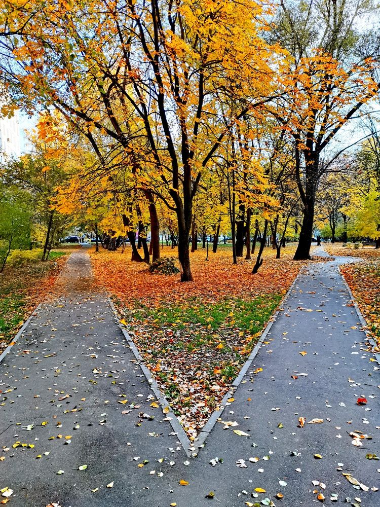 Photograph by людмила