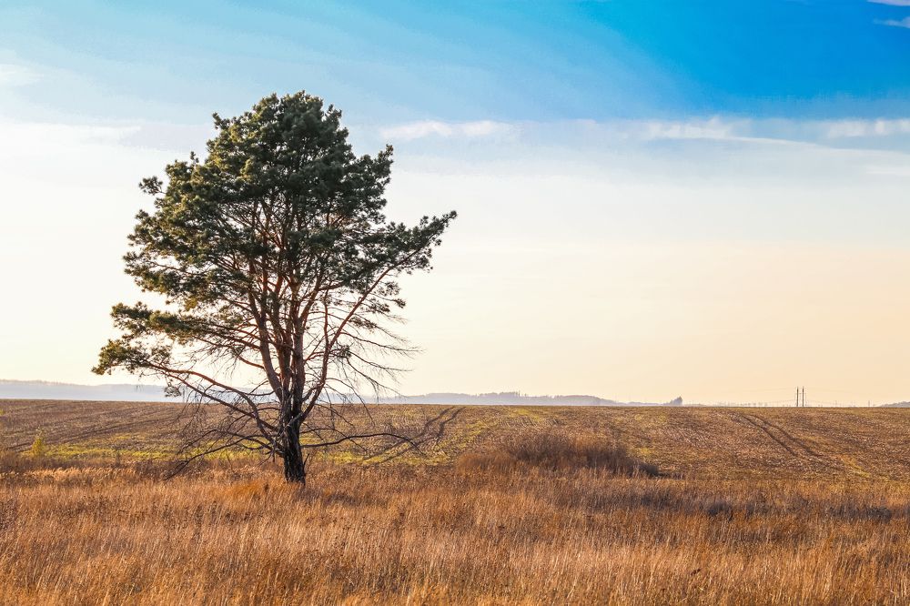 Photograph by Александр Карасев
