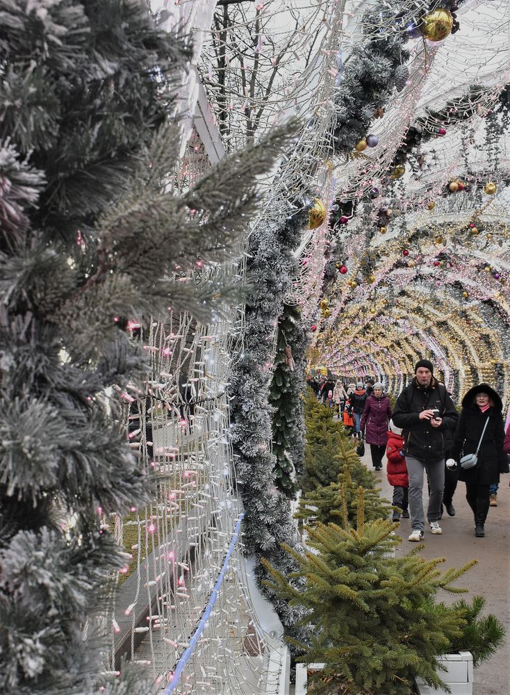 Photograph by Сергей Иванович Носов