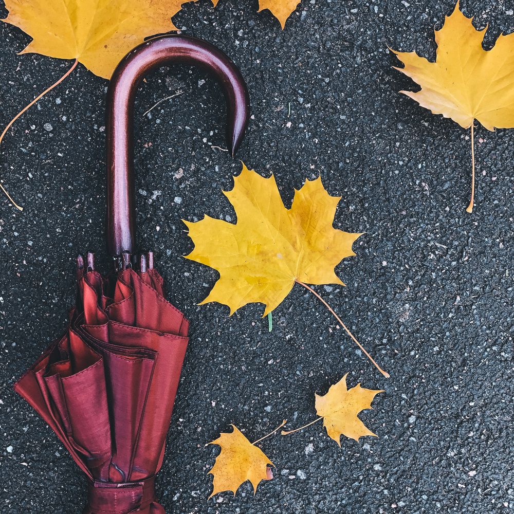 Настроение осень