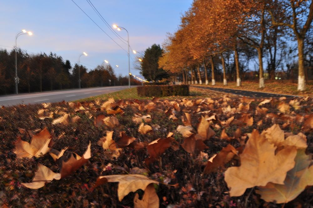 Photograph by Заурбек Шахмурзаев