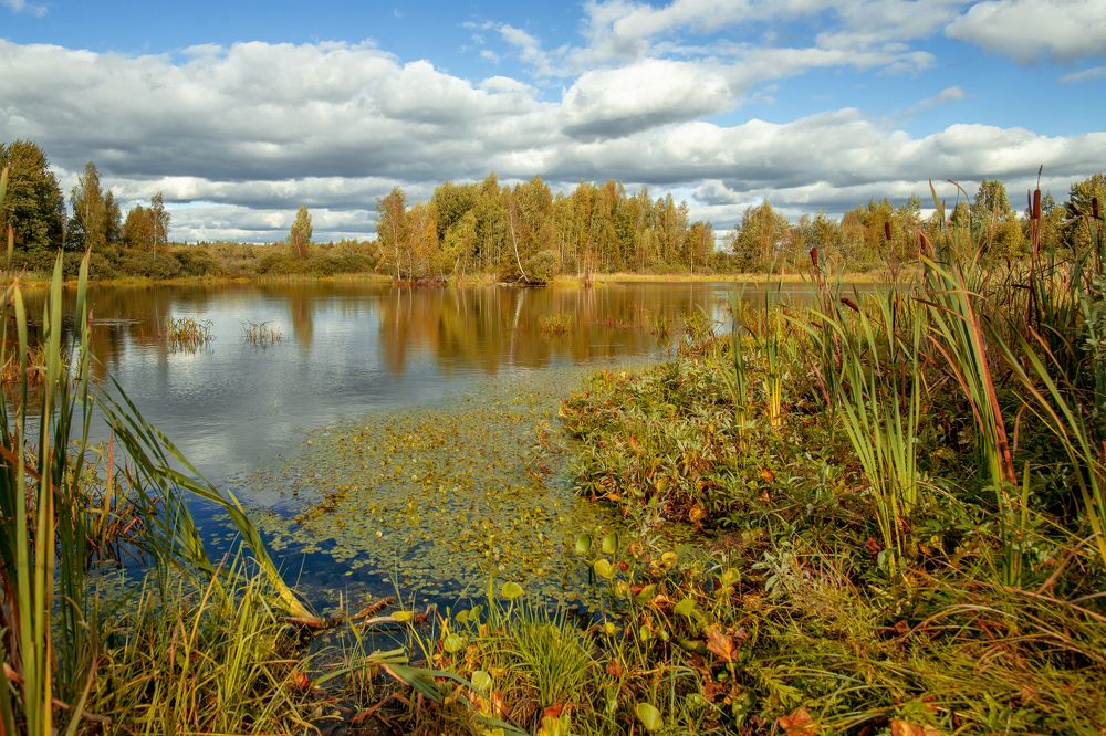 Photograph by Ангелина Старцева