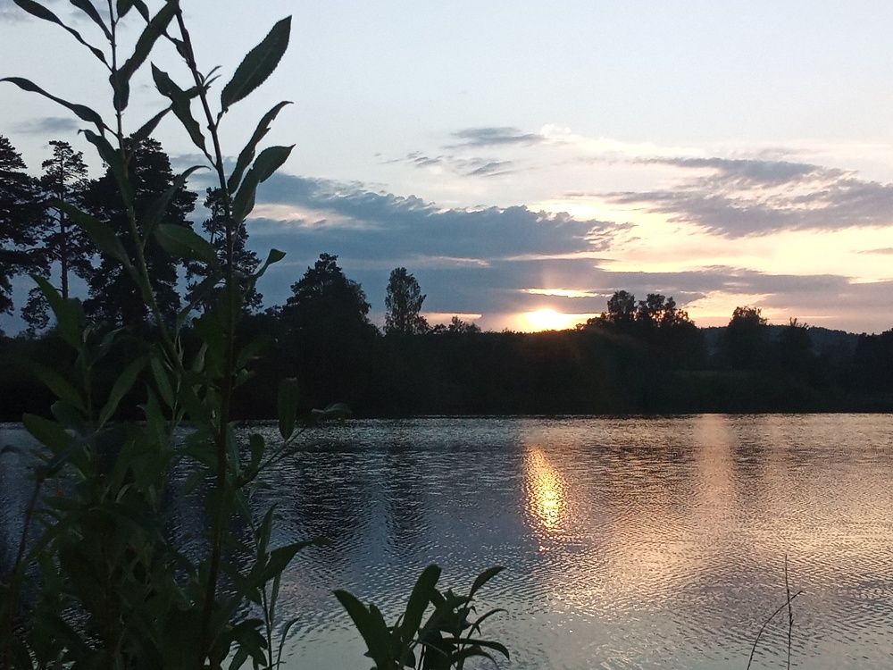 Photo #6602065