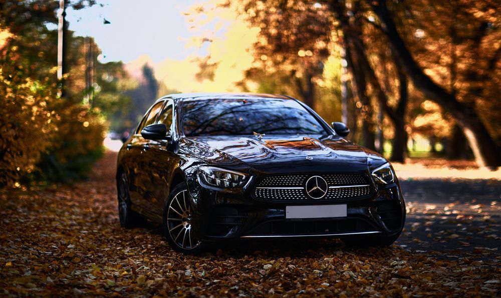 Photograph by Мыльников Павел