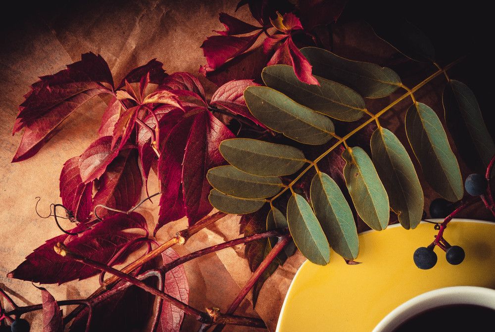 Photograph by Олечка