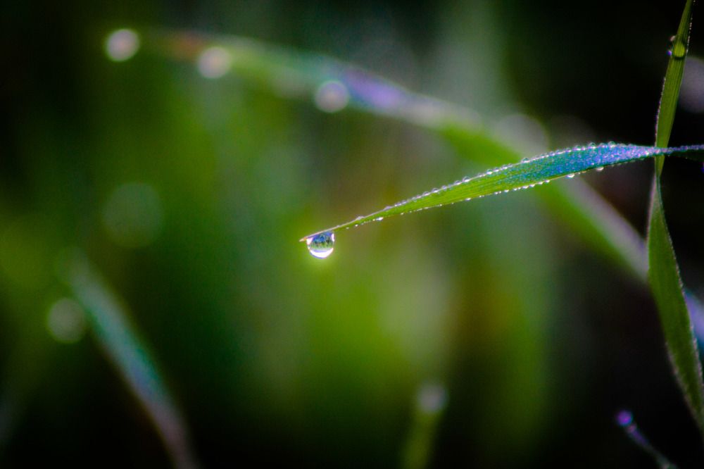 Фотография автора Omar Sanad