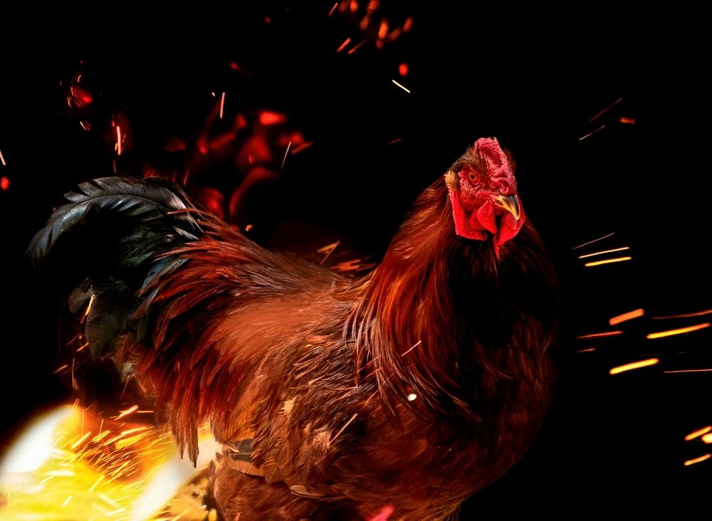 Photograph by Михаил Серебренников