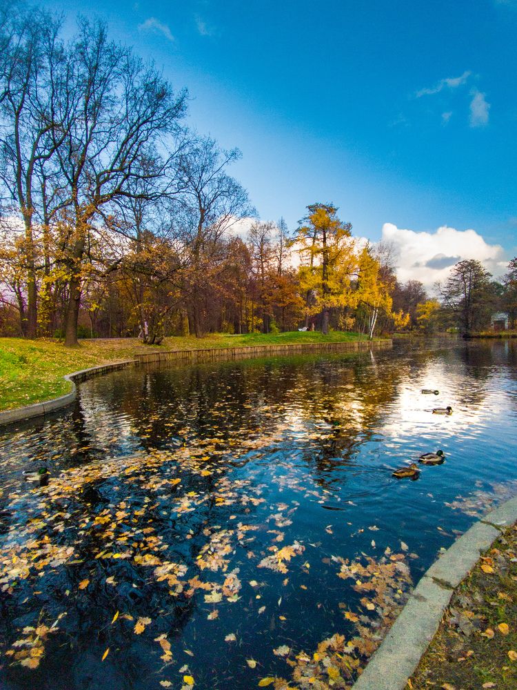 Photograph by Chic.chiquitita