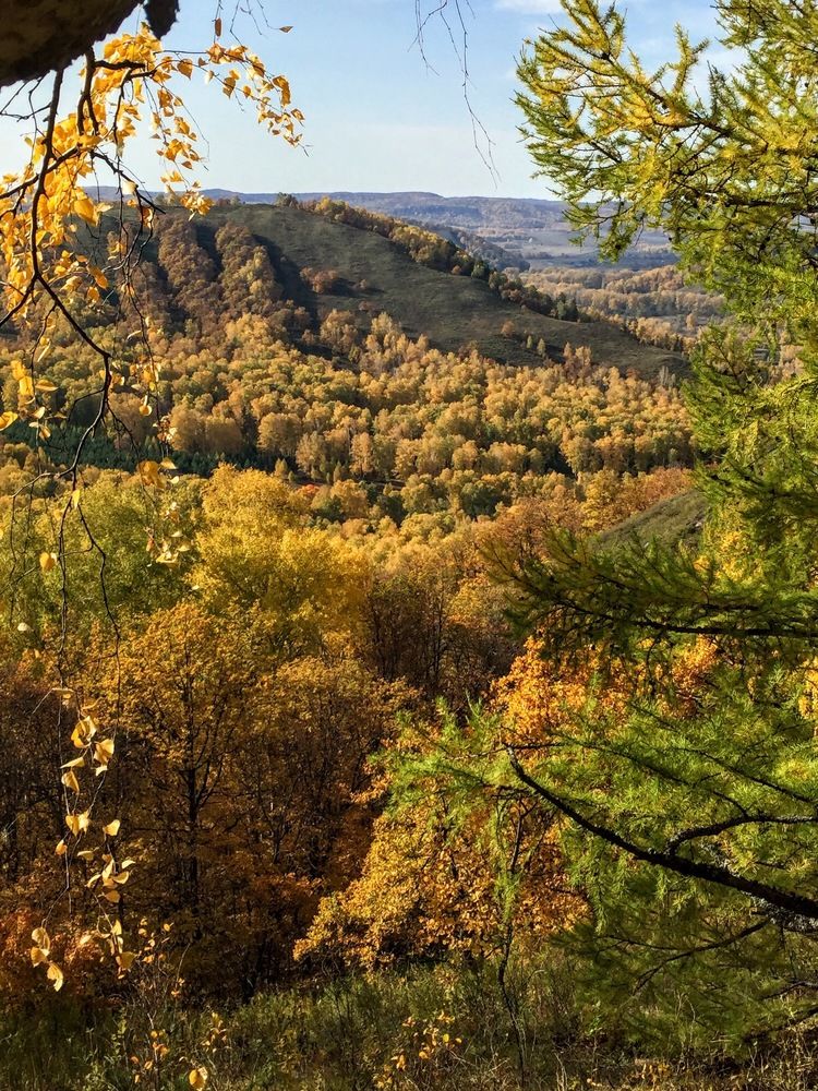 Золотая осень