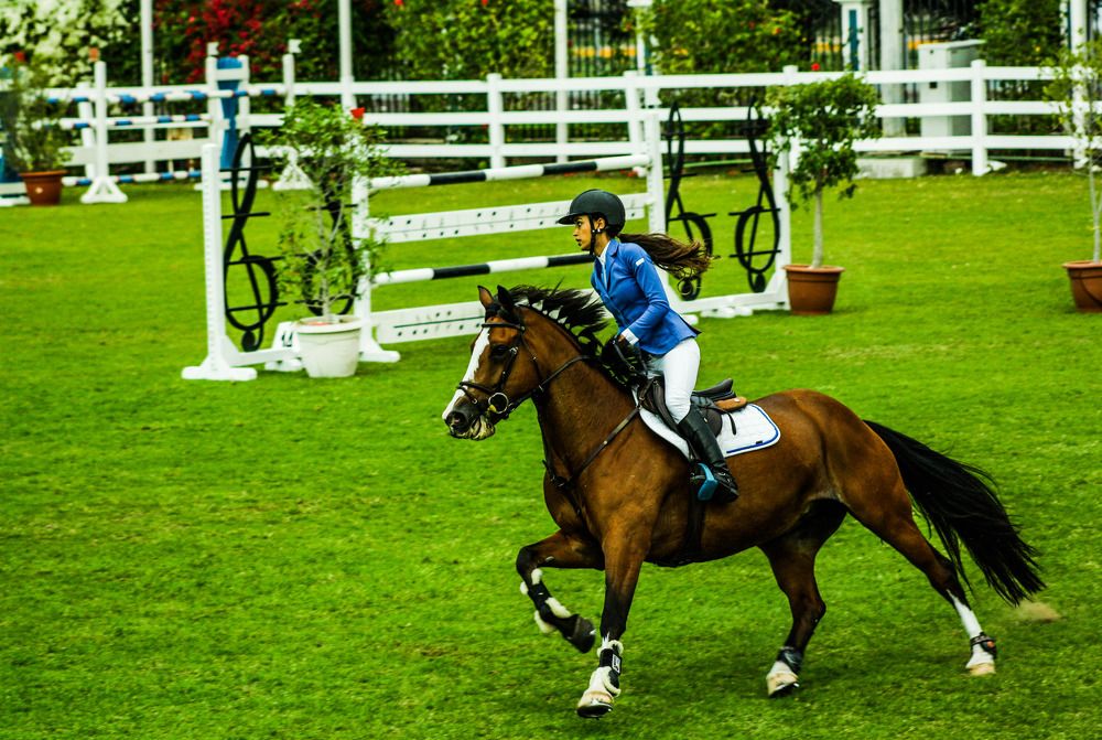 Фотография автора Omar Sanad