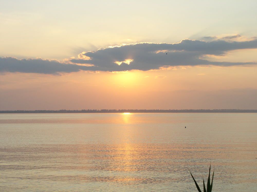 Photograph by Плужник-Гладир Сергей Михайлович