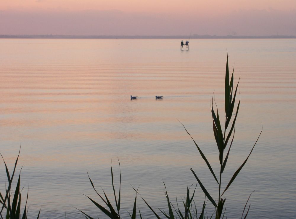 Photograph by Плужник-Гладир Сергей Михайлович