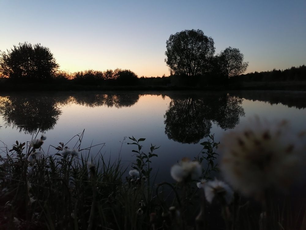 Photograph by Станислав Евсеев