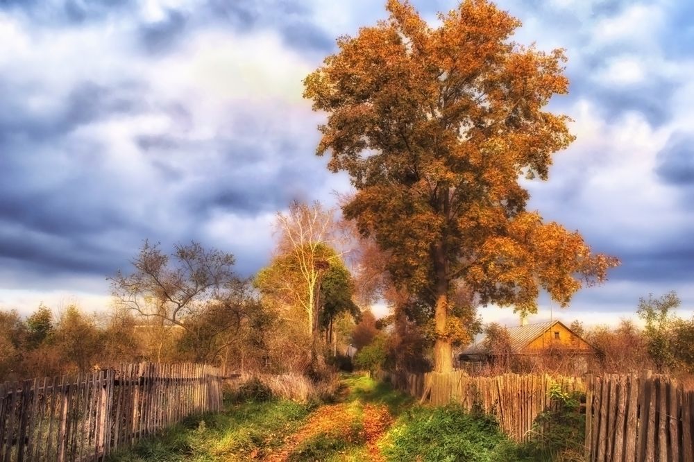 Фотография автора Юлия Кранина