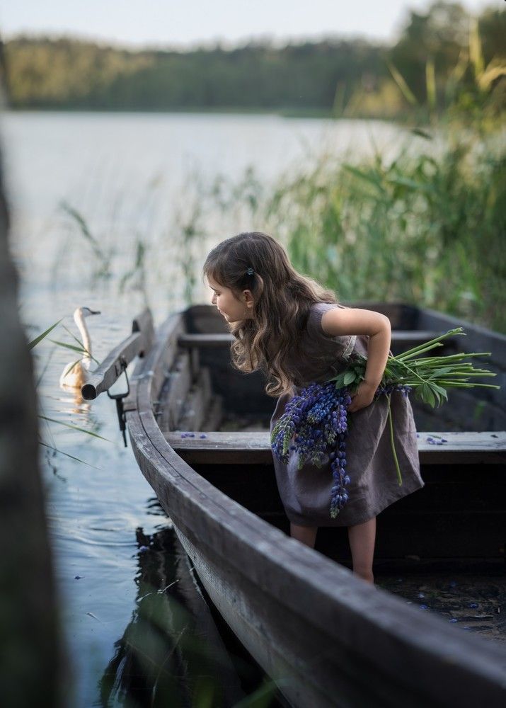 Лебедь и люпины