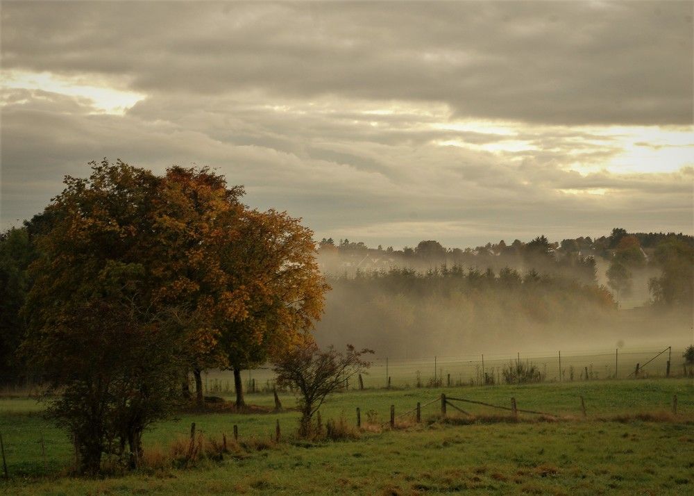 Photograph by Светлана Минаева