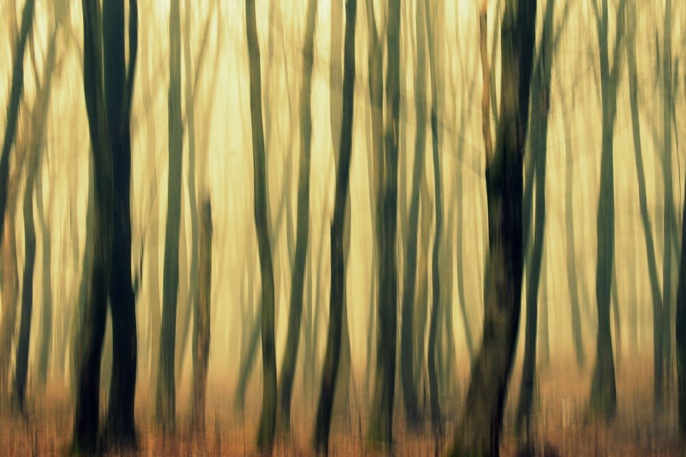 Photograph by Peter Pochyly