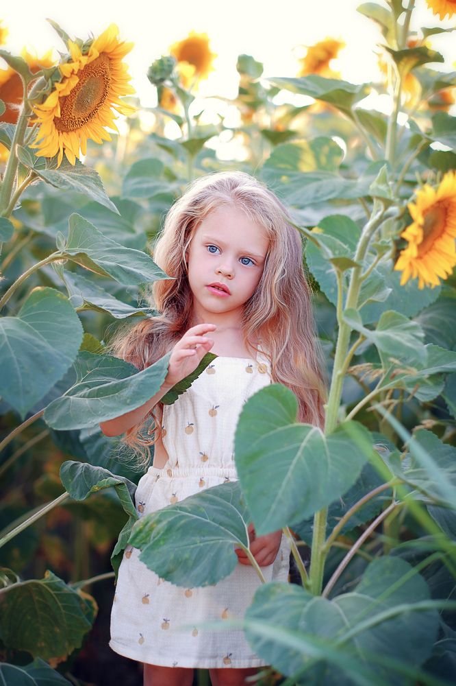 Девочка в подсолнухах