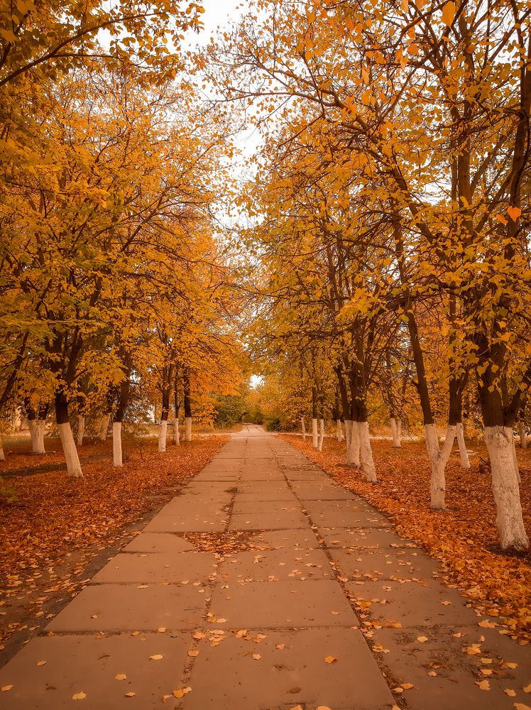 Photograph by Юлия Закопайло