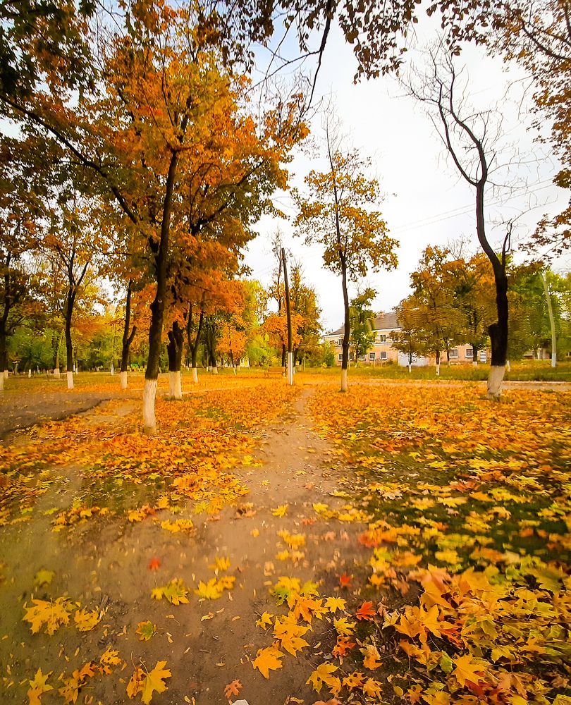 Photograph by Юлия Закопайло