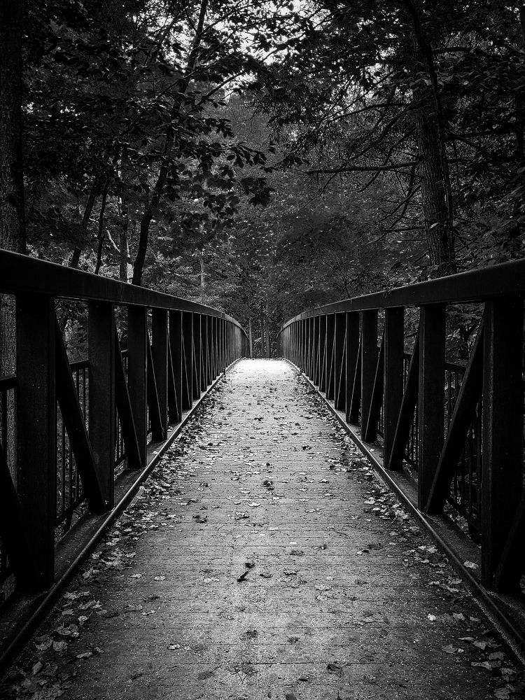 Photograph by Greg Noakes