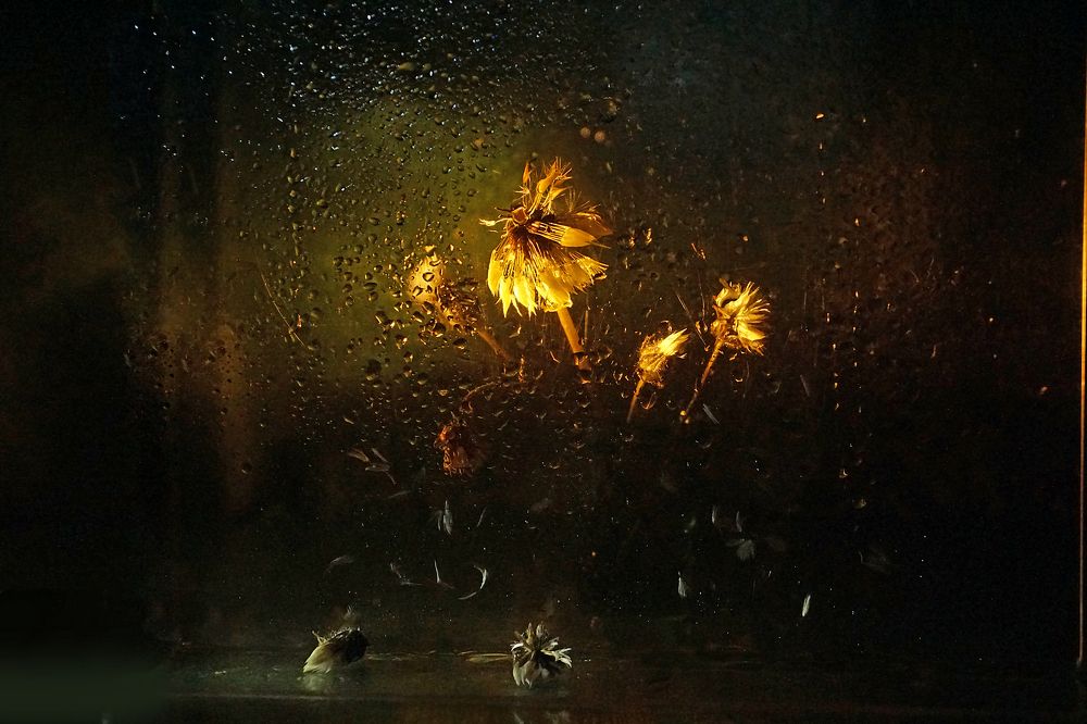 Photograph by Ольга Пуховникова