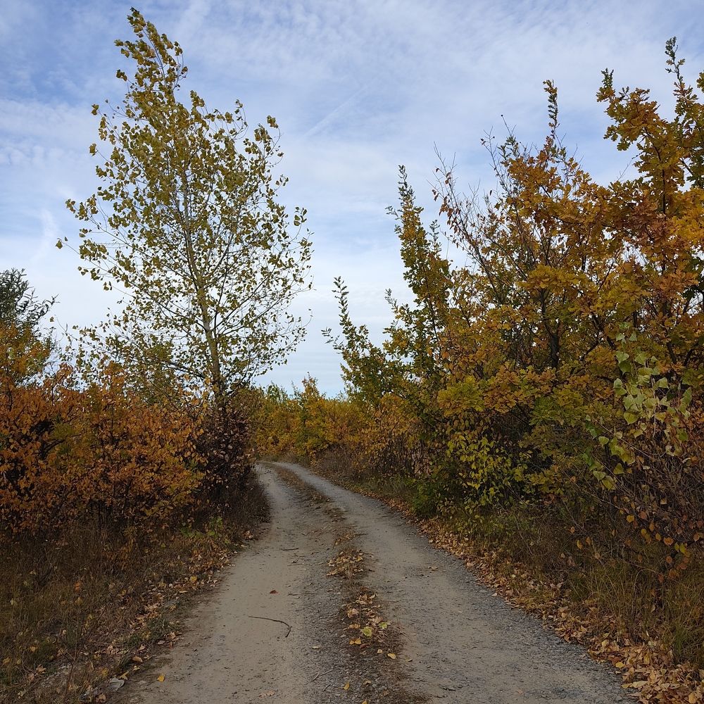 Photograph by Фаина Мирошниченко