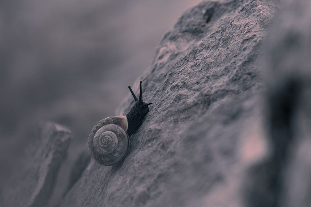 Photograph by Bine Mekina