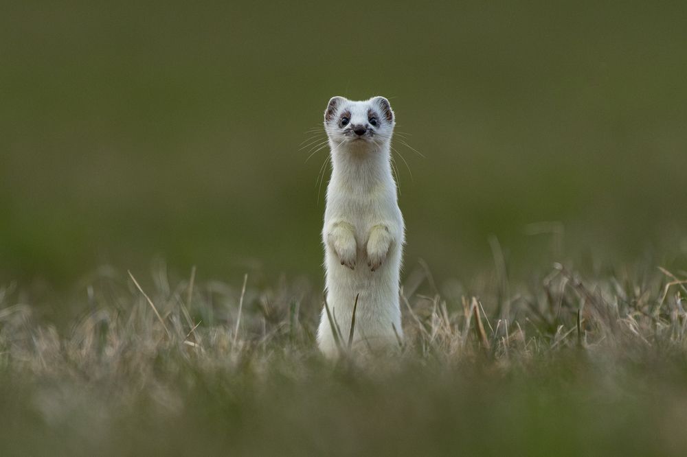 Photograph by Bine Mekina