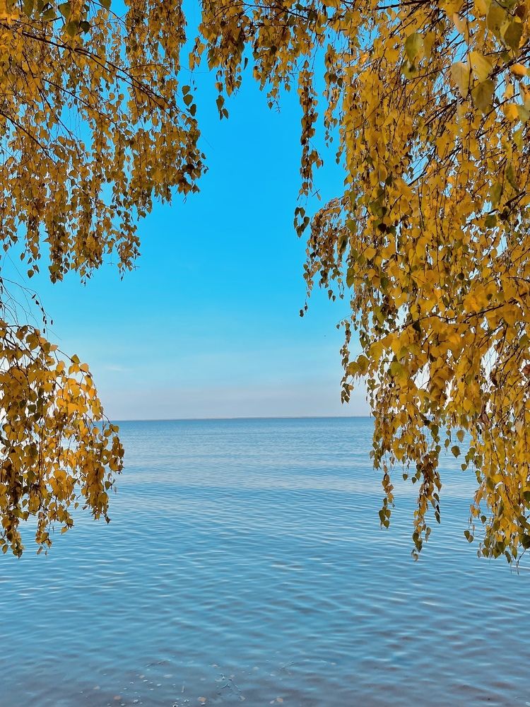 Photograph by Noga Julya