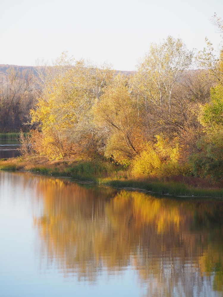 Photograph by Светлана Шибаршина