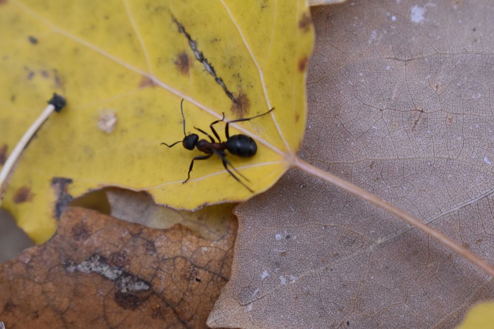 Photograph by Сергей Головин