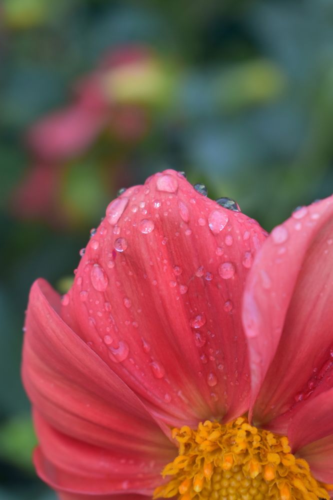 Photograph by Сергей Головин