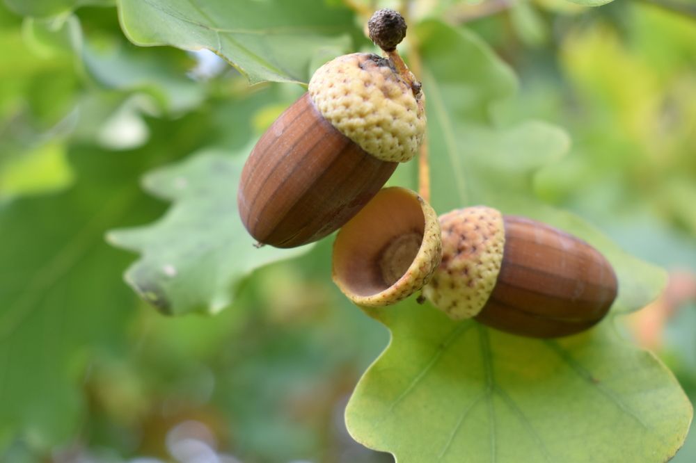 Photograph by Сергей Головин