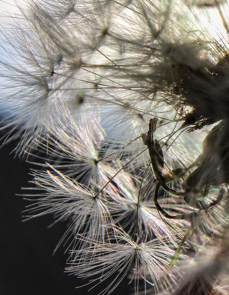 Photograph by Ольга Ситникова