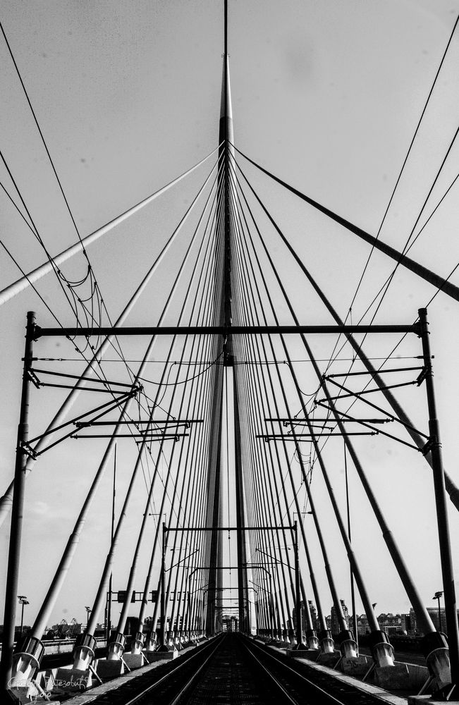 Photograph by Sreten Vitezović