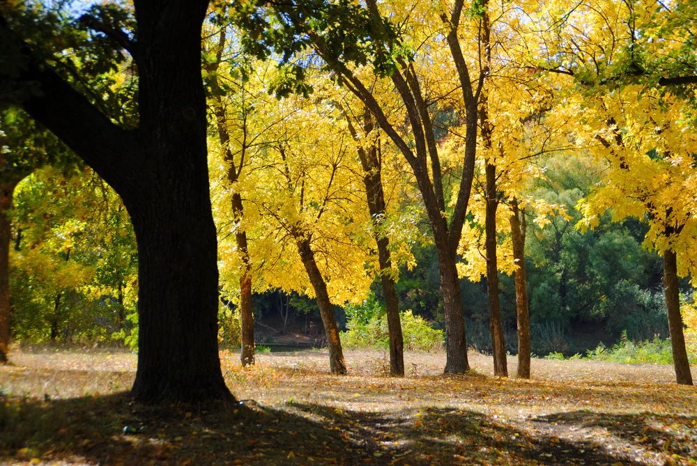 Photograph by Инна Сечко