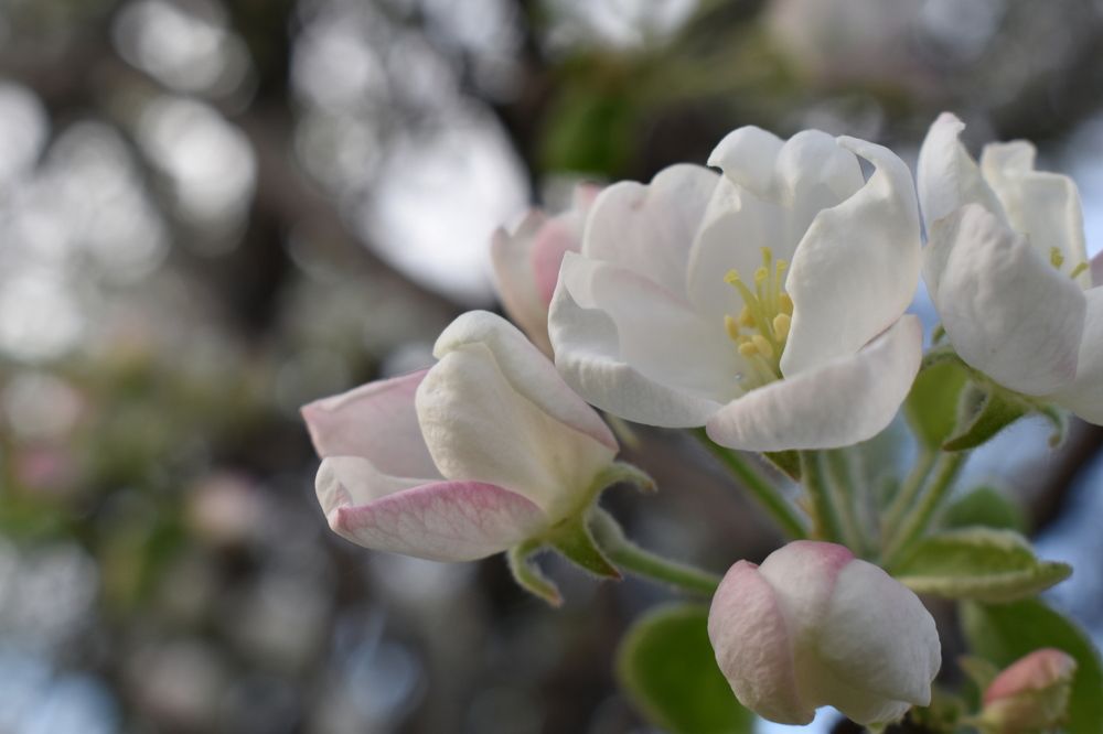 Photograph by Сергей Головин