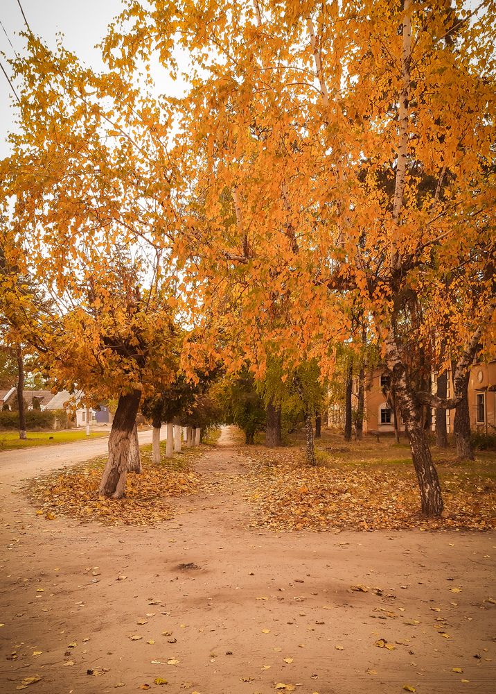 Photograph by Юлия Закопайло