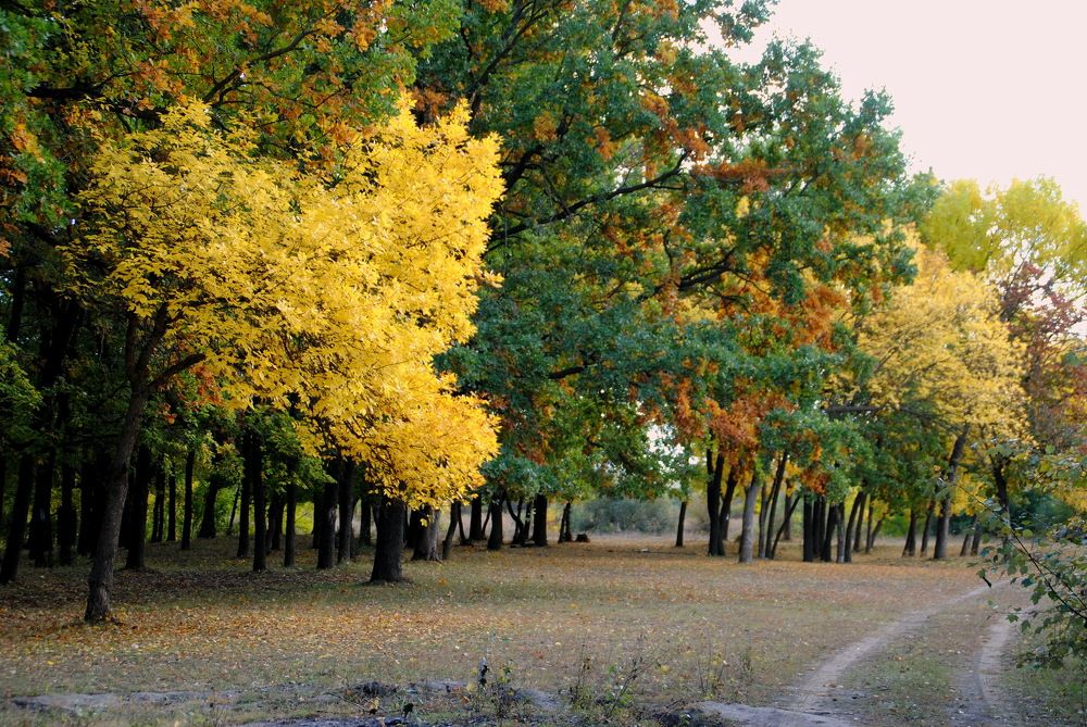 Photograph by Инна Сечко