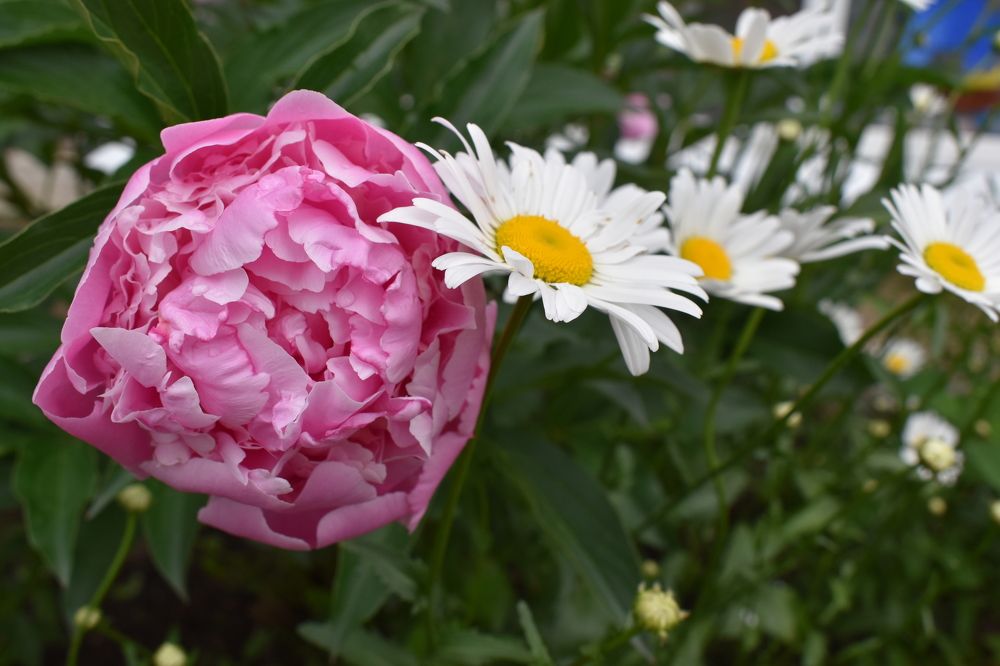 Photograph by Сергей Головин