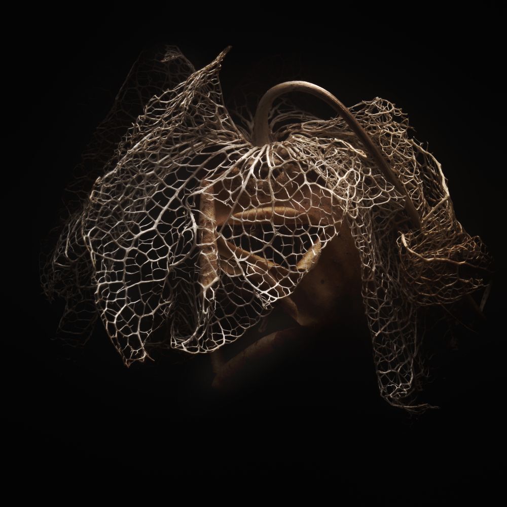 Photograph by Alexander Svetlov