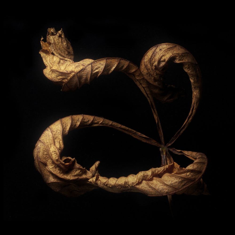 Photograph by Alexander Svetlov