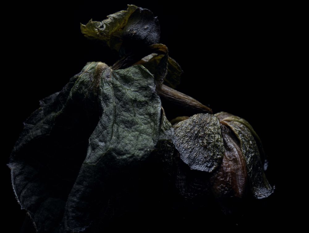 Photograph by Alexander Svetlov