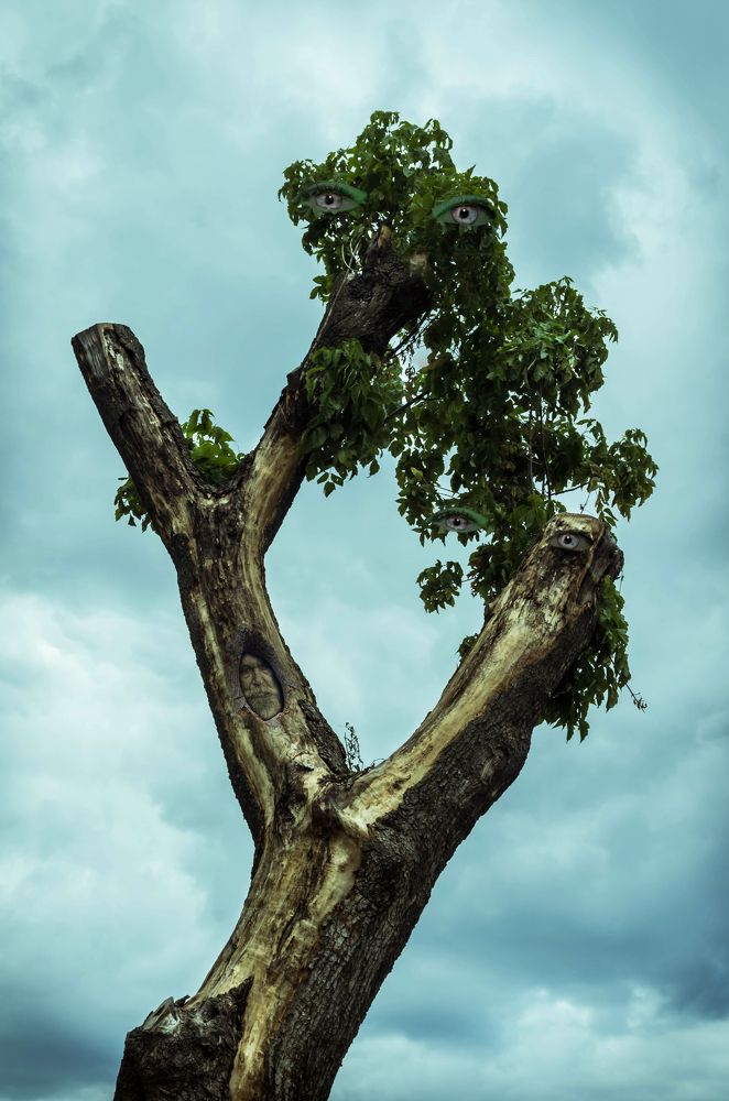 Древо Предков