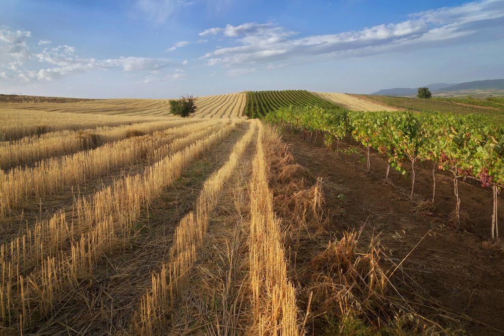 Photograph by Марина Ческис