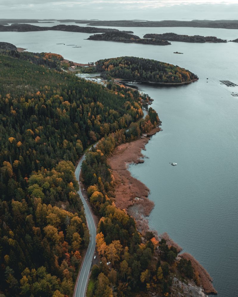 Фотография автора Pavel Reshetov
