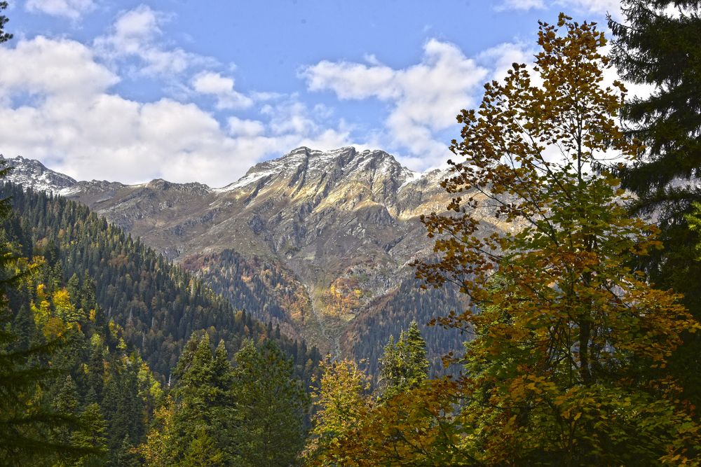 Photograph by Алексей Черкашин